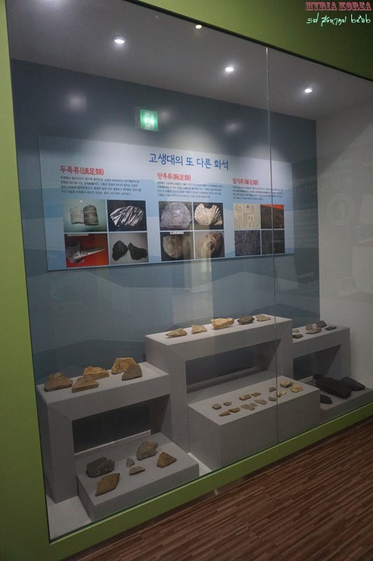 Yanggu Prehistory Museum-杨口郡必去景点