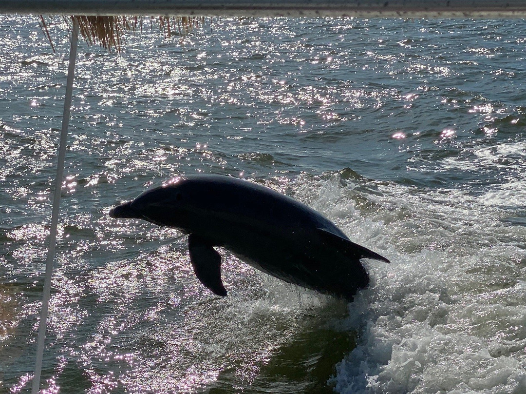 Just Add Water and Sun-那不勒斯必去景点