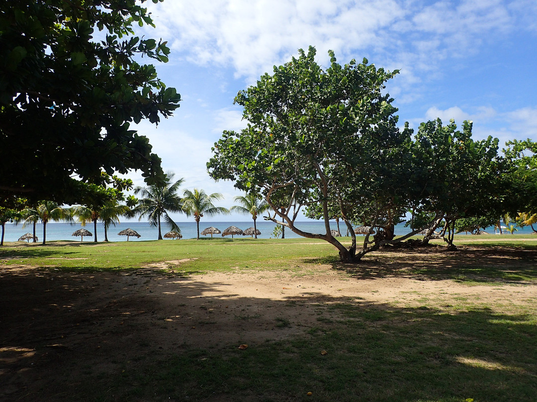 Rancho Luna Beach景点图片