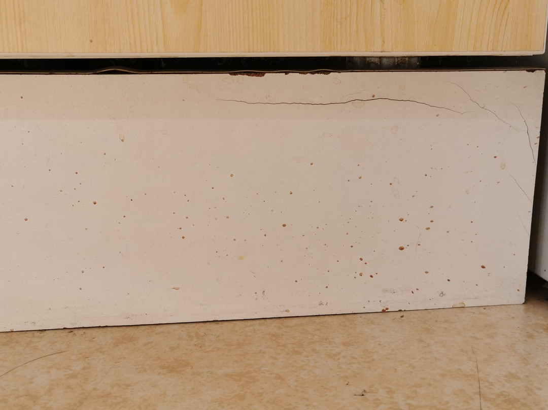 Residence Odalys L'Ecrin des Neiges主图