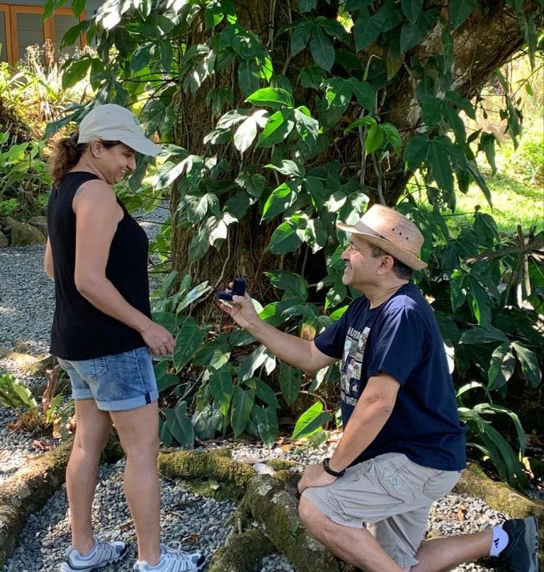 Tree of Life Cabinas主图