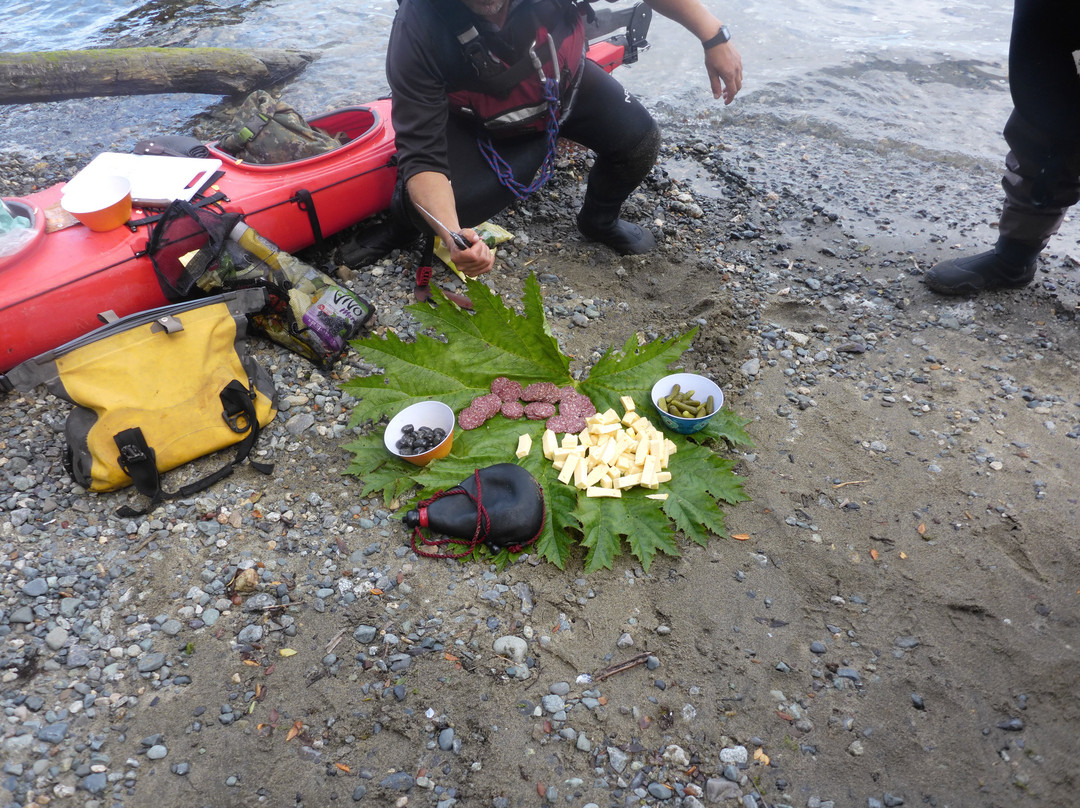 AguaHielo Expediciones-Puerto Aisen必去景点