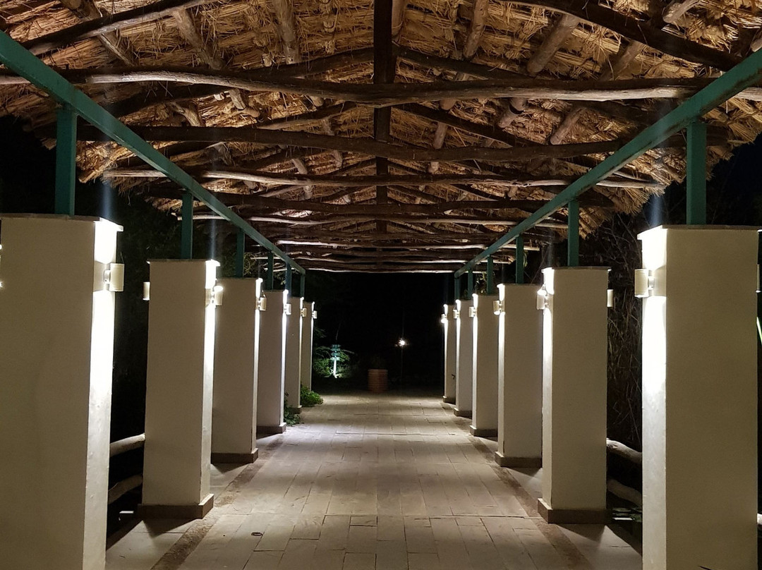 Trees N Tigers Sariska主图