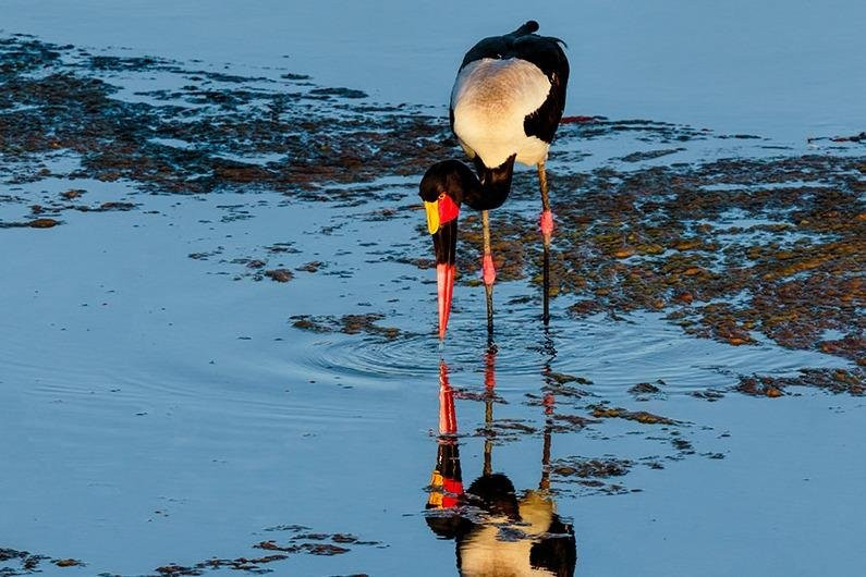 Tony Sparkes Wildlife and Photographic Safaris-霍德斯普鲁特必去景点