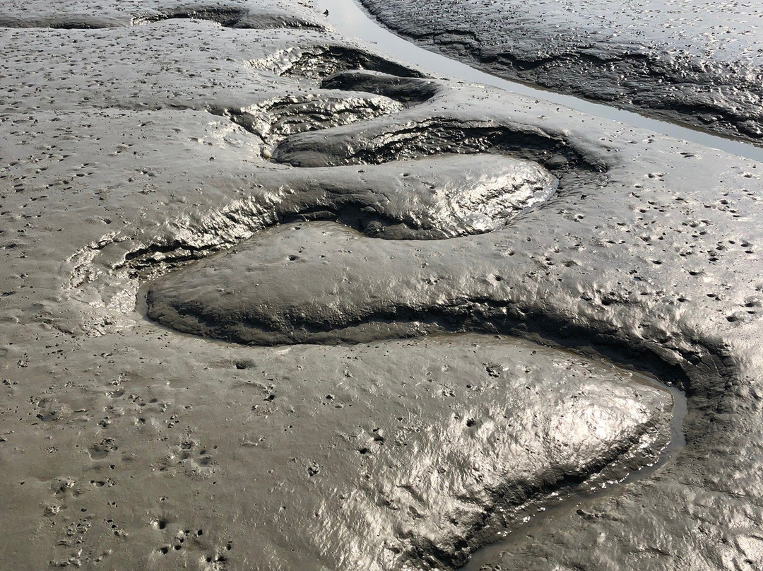 Jjangttungeo Dali-新安郡必去景点