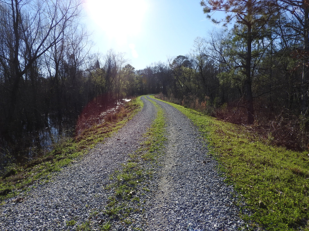 Eufaula National Wildlife Refuge景点图片