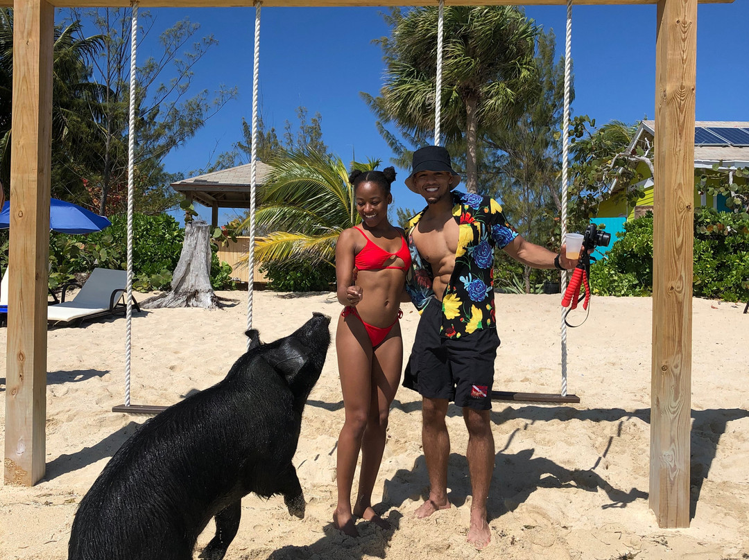 Da Pig Beach Nassau-拿骚必去景点