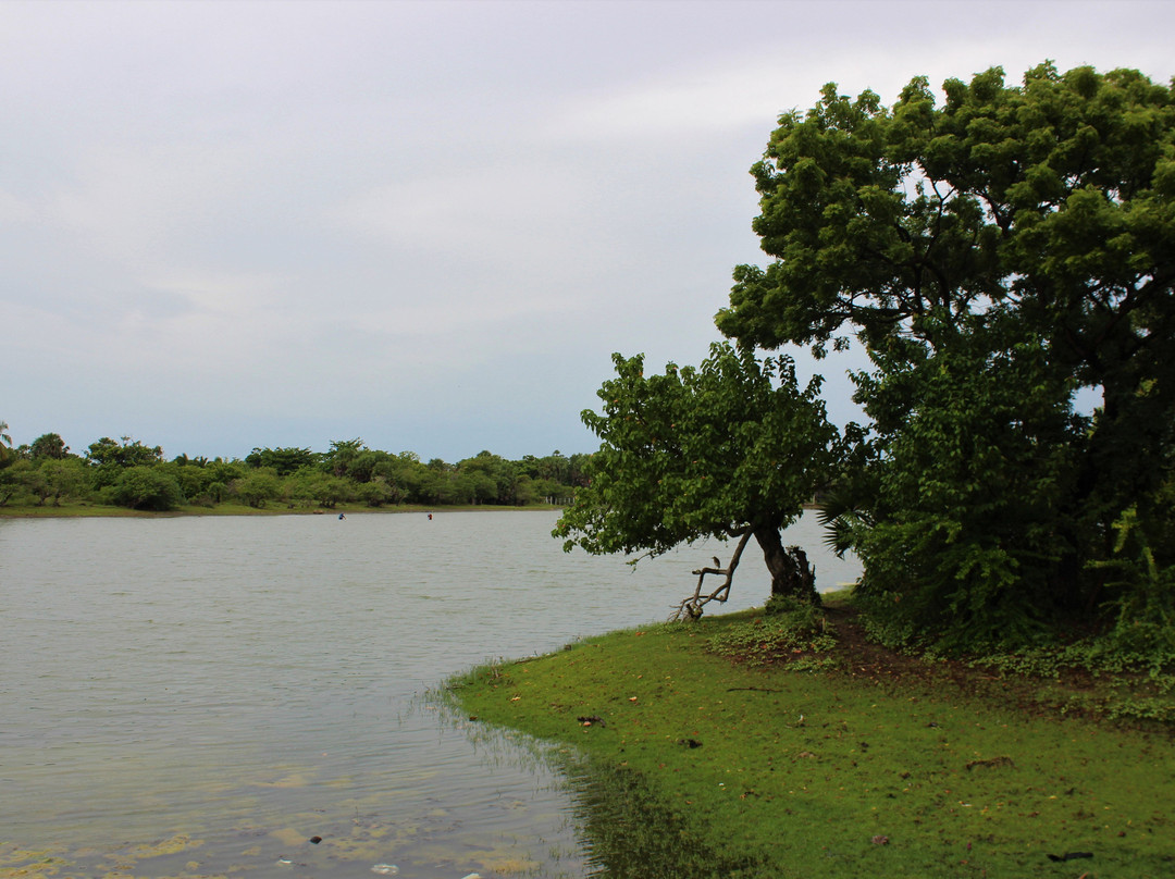 Ocean Park Resort主图