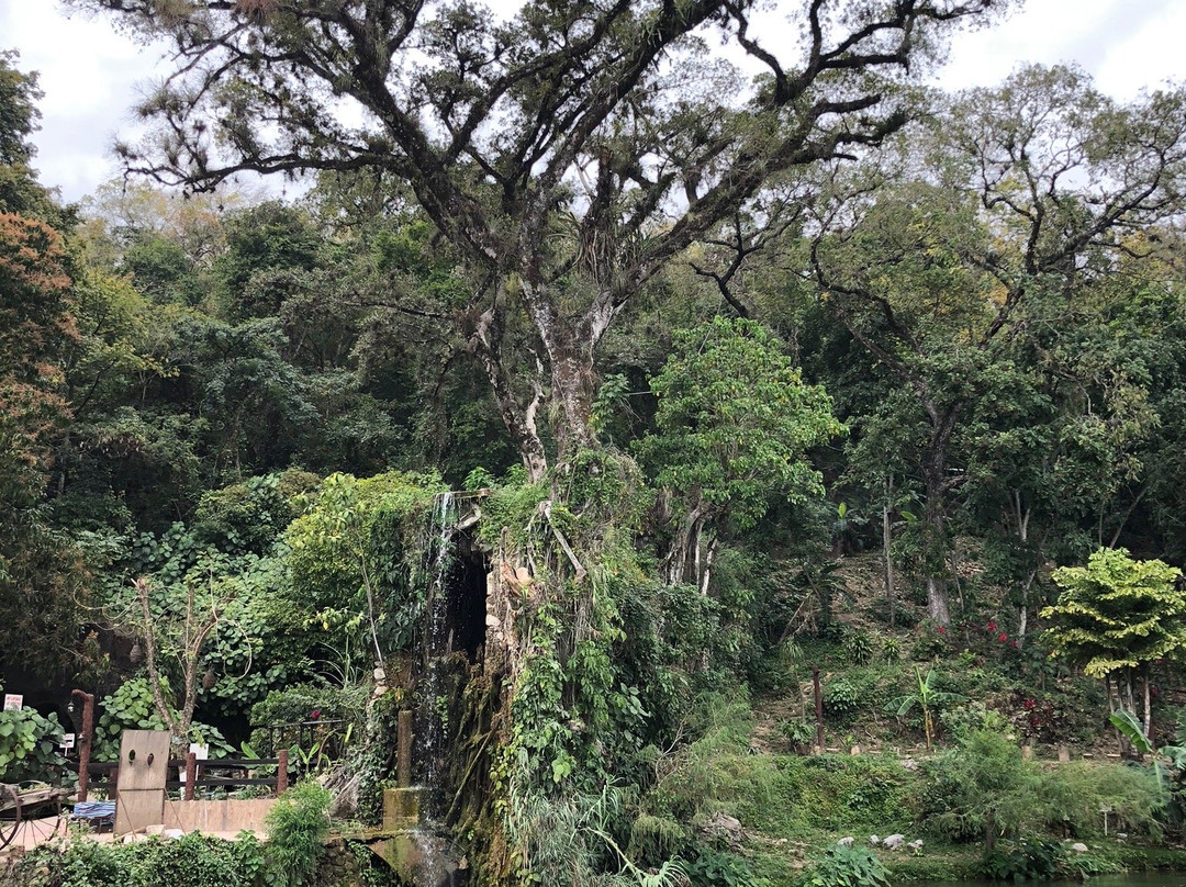 Cascadas de Tamasopo景点图片