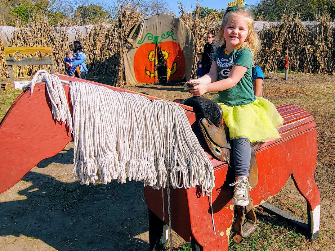 Deanna Rose Children's Farmstead-欧弗兰帕克必去景点