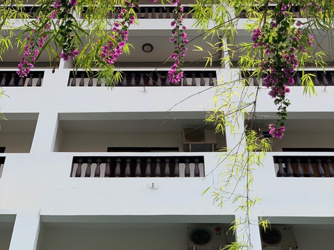 Mekong Angkor Palace Hotel