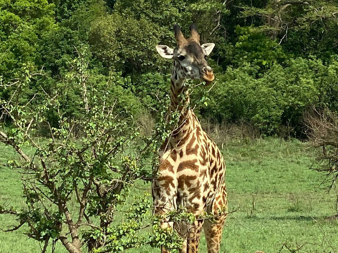 Lake Duluti-阿鲁沙必去景点