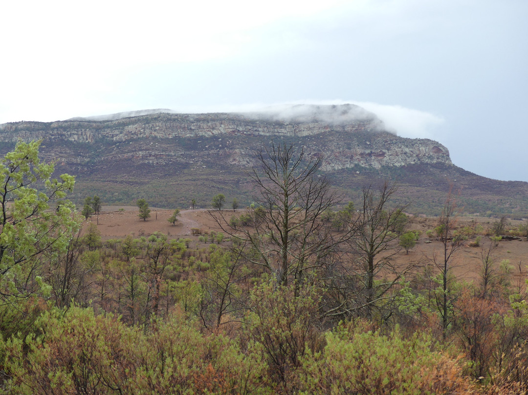 Rawnsley Park Station Eco Villas主图