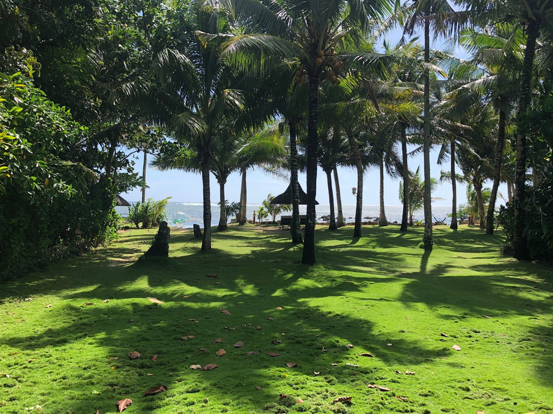 Greenhouse Siargao主图