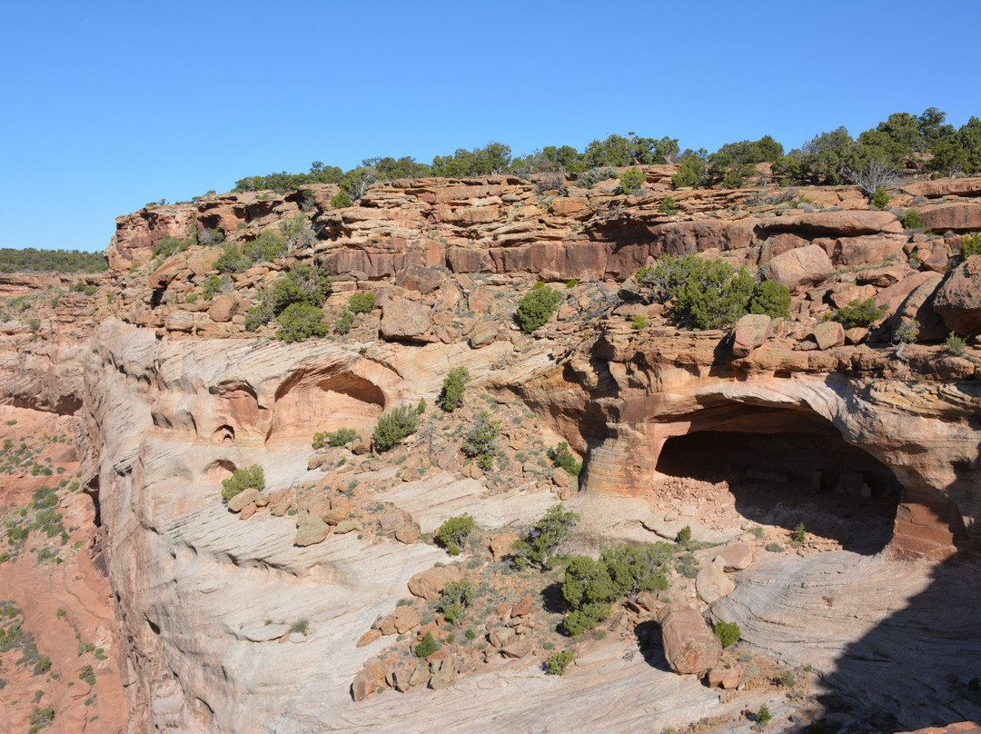 North Rim Drive-Chinle必去景点