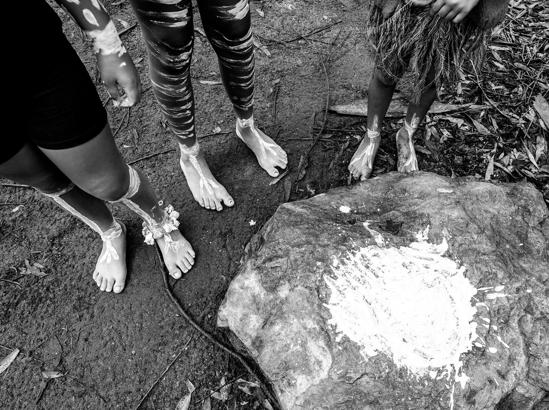 Giingan Gumbaynggirr Cultural Experience-科夫斯港必去景点