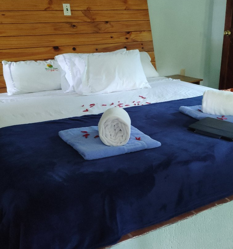 Hotel La Diosa主图