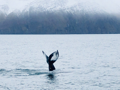 Nonni Travel-阿克雷里必去景点