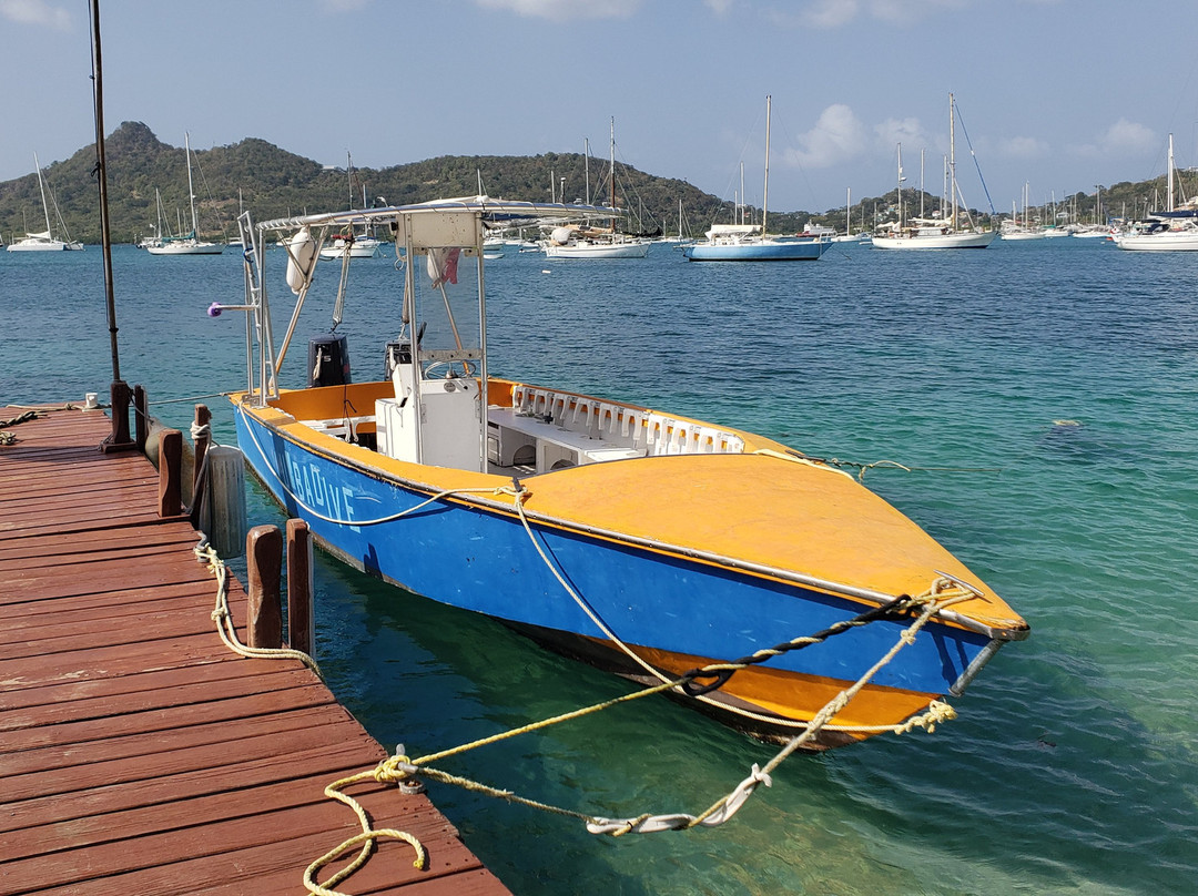 Lumbadive Padi 5 Stars-Carriacou Island必去景点