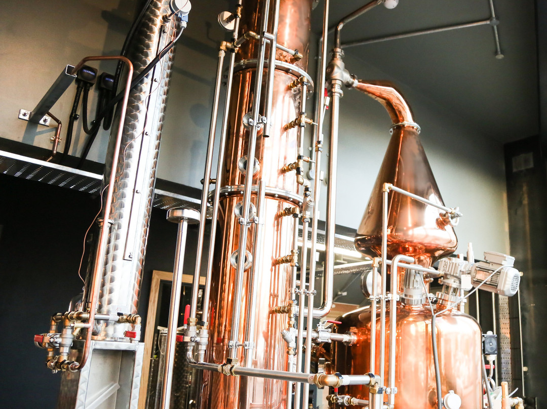 Cygnet Distillery-斯温西必去景点