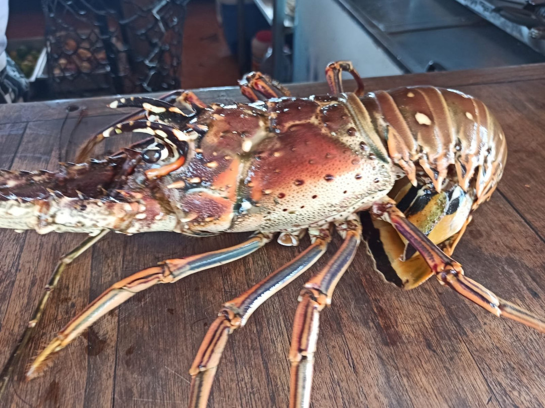 Posada Galapagos主图