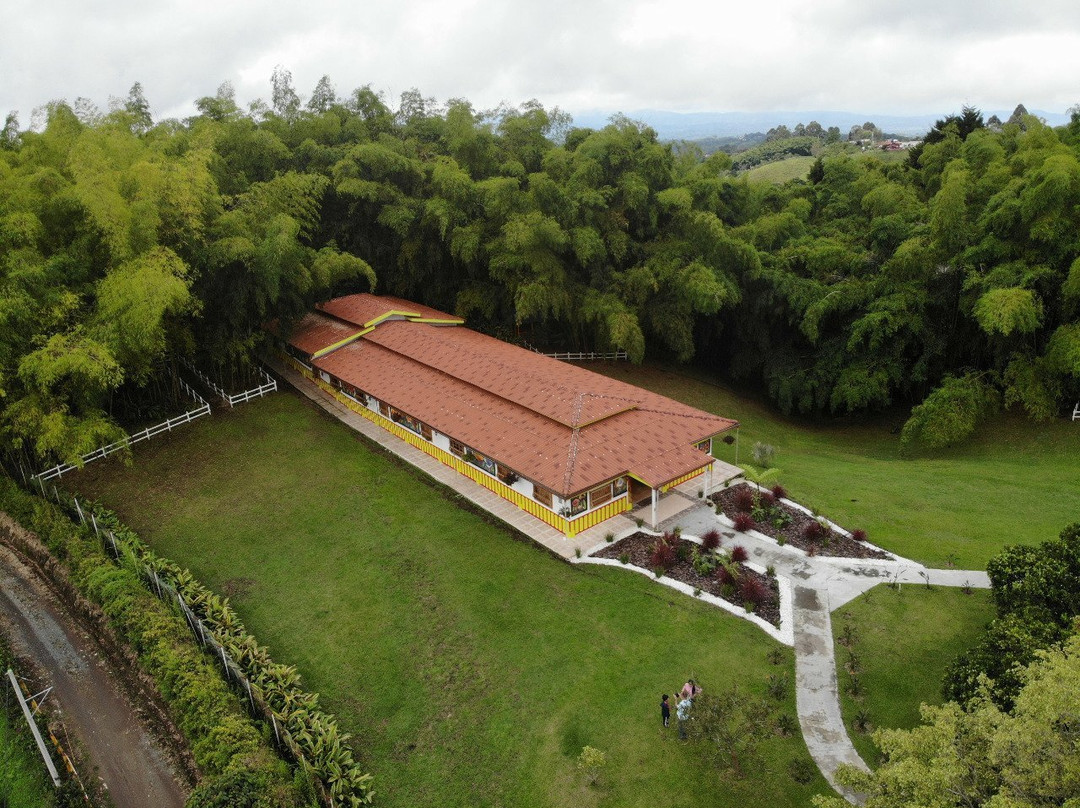 Hotel Bamboo Boutique主图