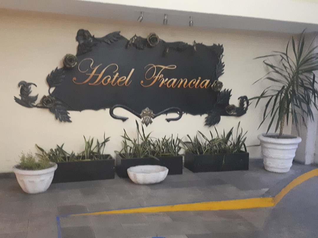 Hotel Francia Aguascalientes主图