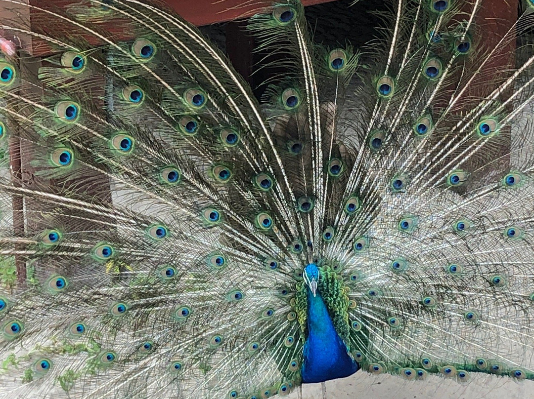 Hôtel La Baie des Tortues Luth主图