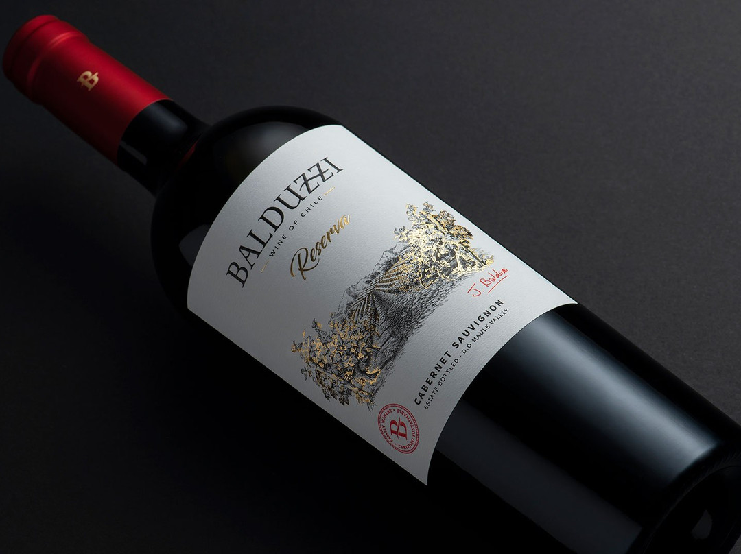 Balduzzi Vineyards & Winery-San Javier必去景点