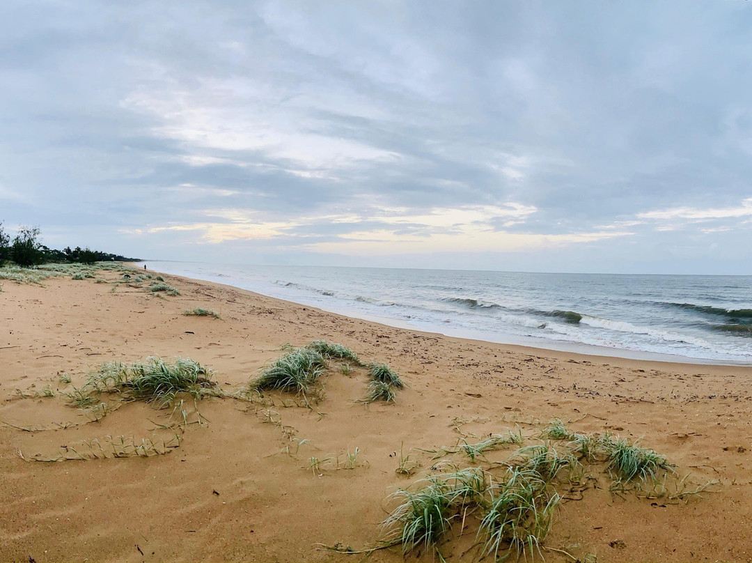 Moore Park Beach Inn主图