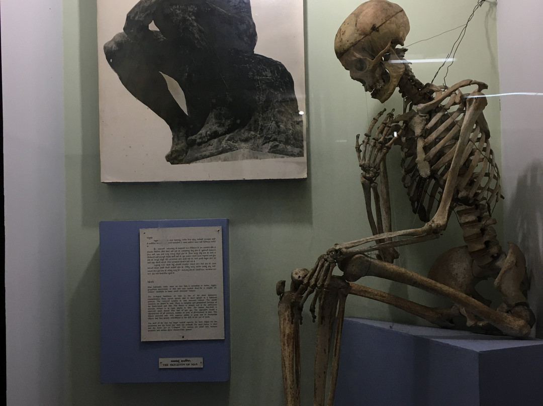 Baroda Museum and Picture Gallery-瓦都达拉必去景点