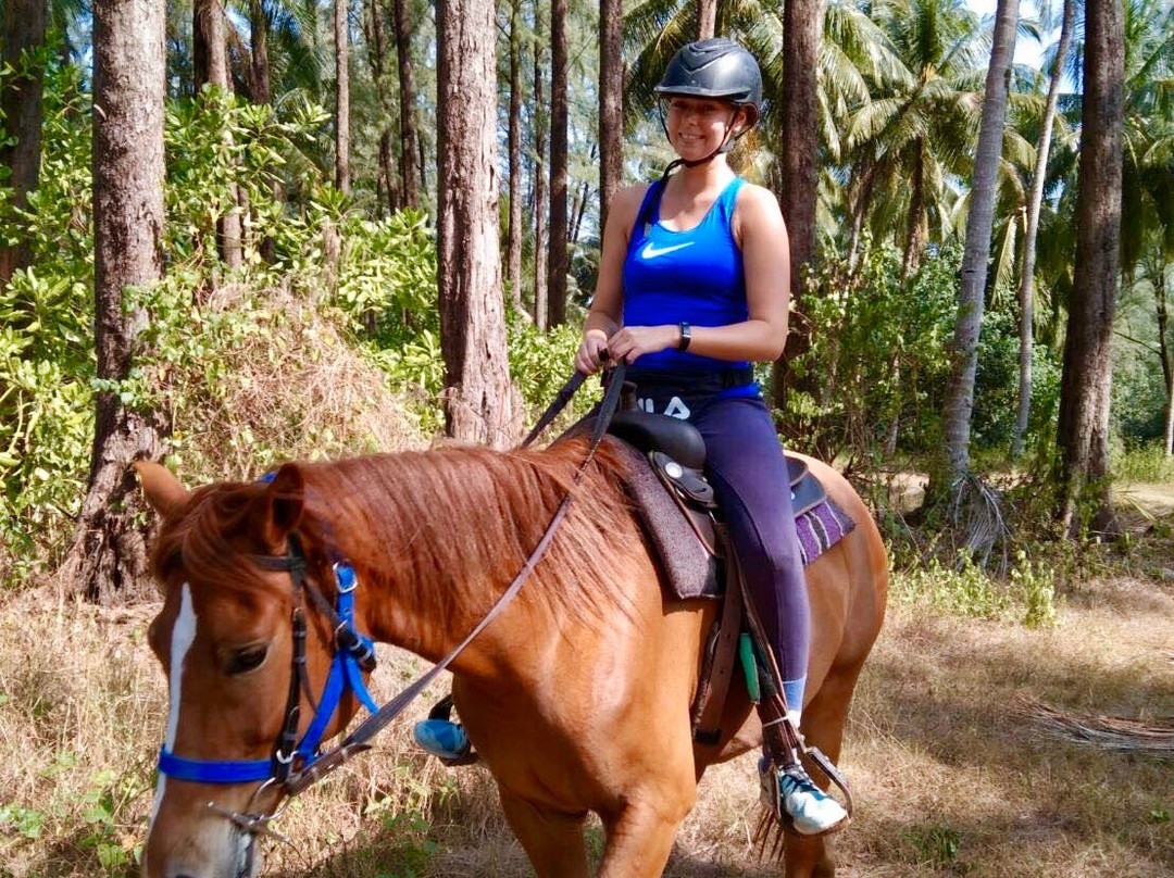 Khaolak Horse Club-拉克山必去景点
