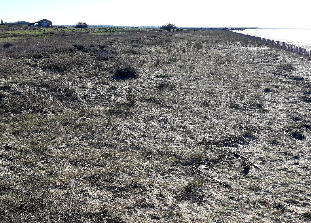 Réserve Naturelle Nationale Moëze-Oléron-Saint Froult必去景点