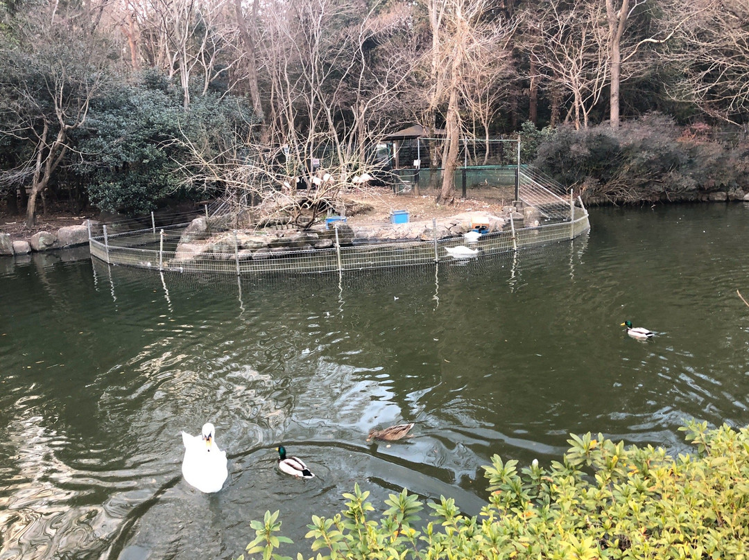 Chikozan Park Zoo-狭山市必去景点