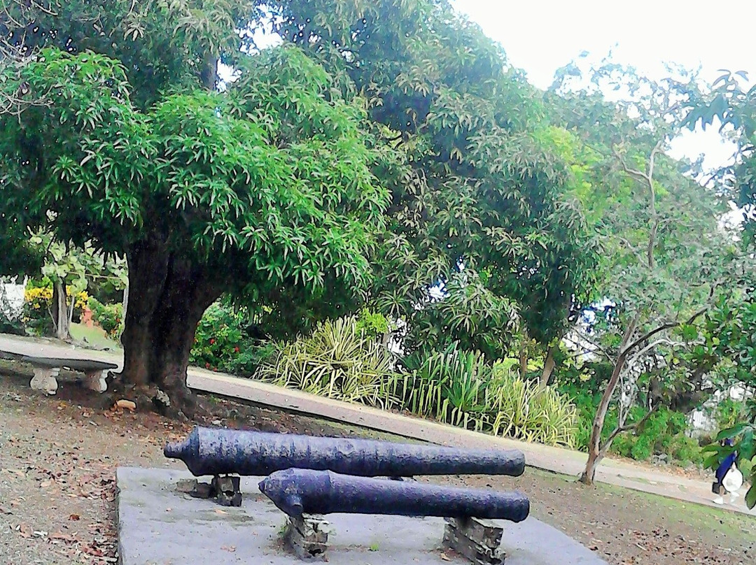 Sea Shell Palms主图