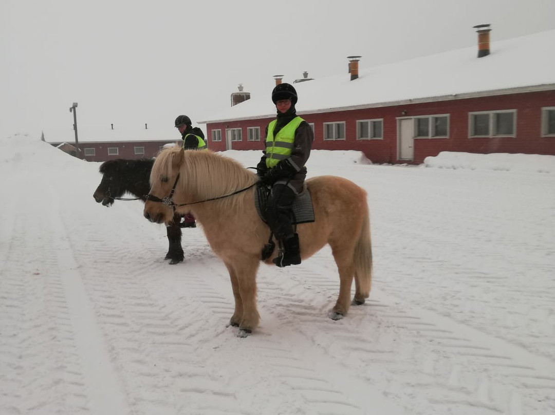 Kainuun Vaellustalli-Sotkamo必去景点