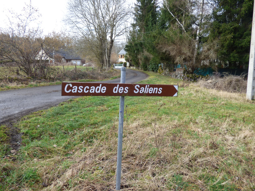 Cascade des Saliens景点图片