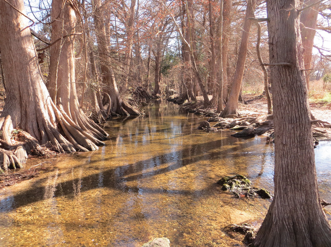 Cibolo Nature Center-Boerne必去景点
