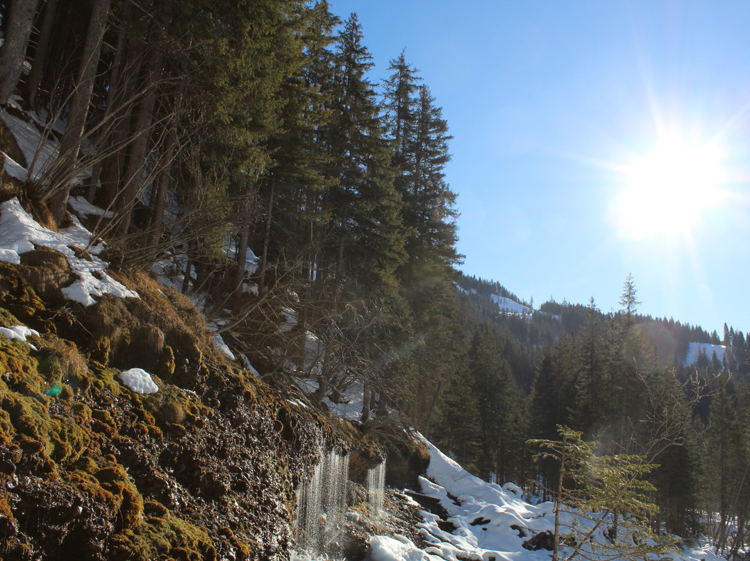 Die Triefen von Hinterthal-Hinterthal必去景点