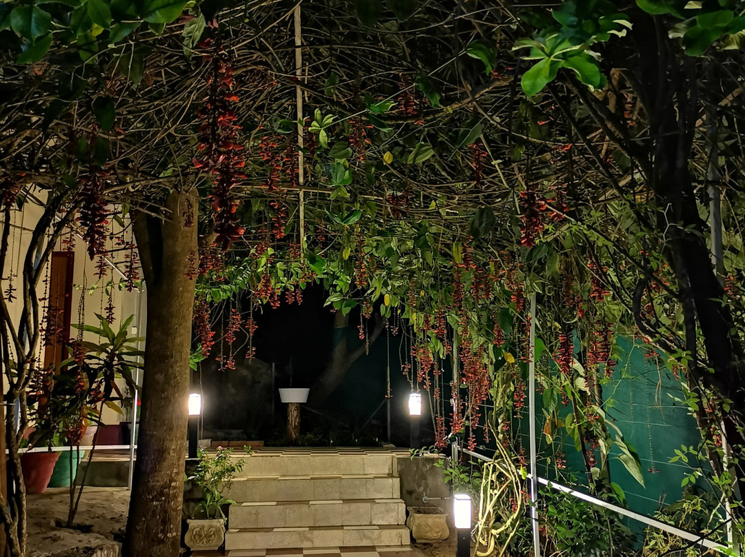 Petra Family Guest House主图