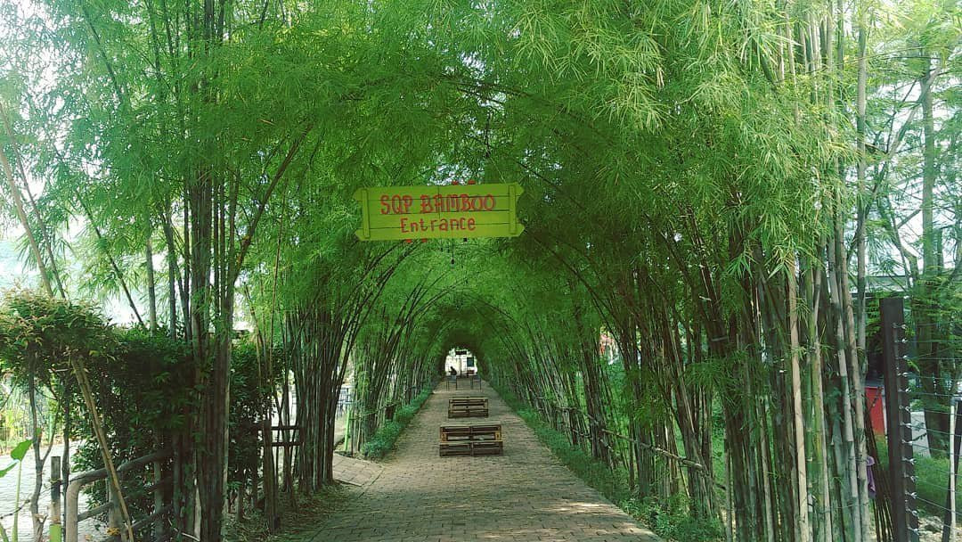 Scientia Square Park (SQP)-坦格朗必去景点