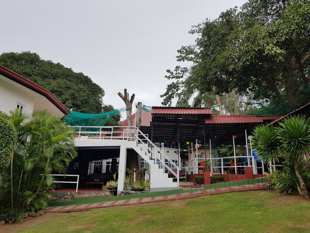 Jo and Johnny's Beach and Dive Inn主图