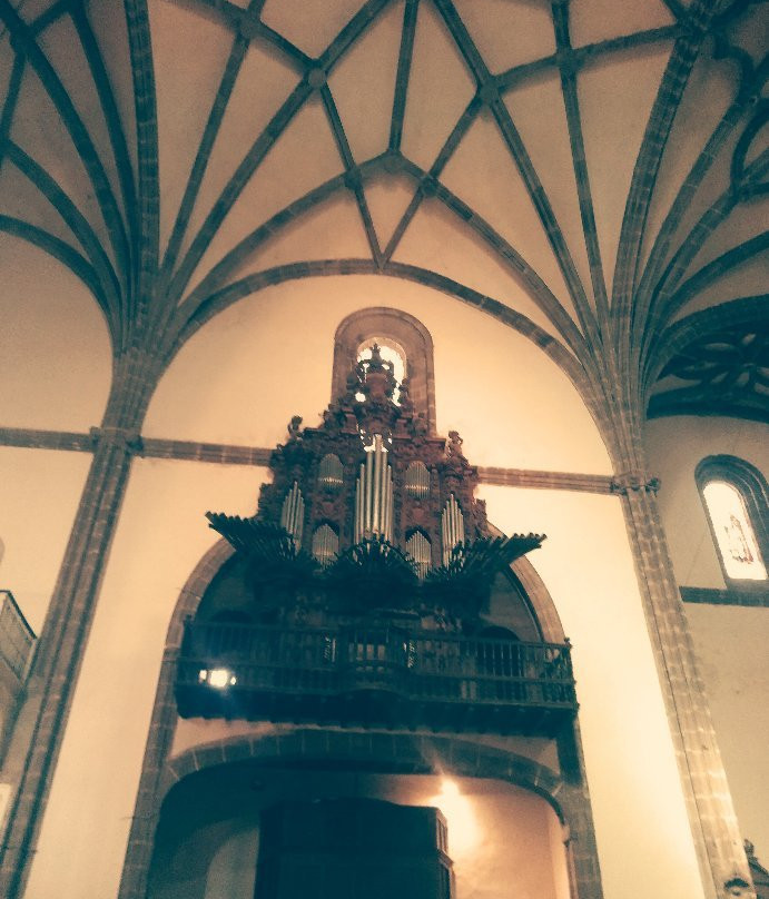 Colegiata de La Candelaria景点图片