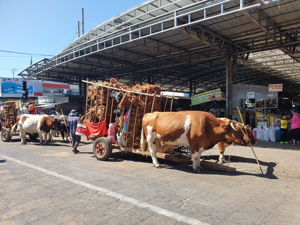 Feria Pinto-特木科必去景点