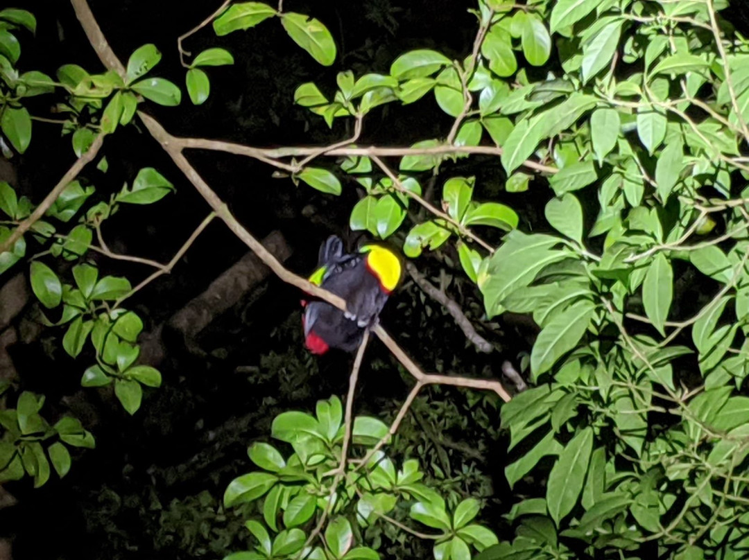 Monteverde Wildlife Refuge景点图片