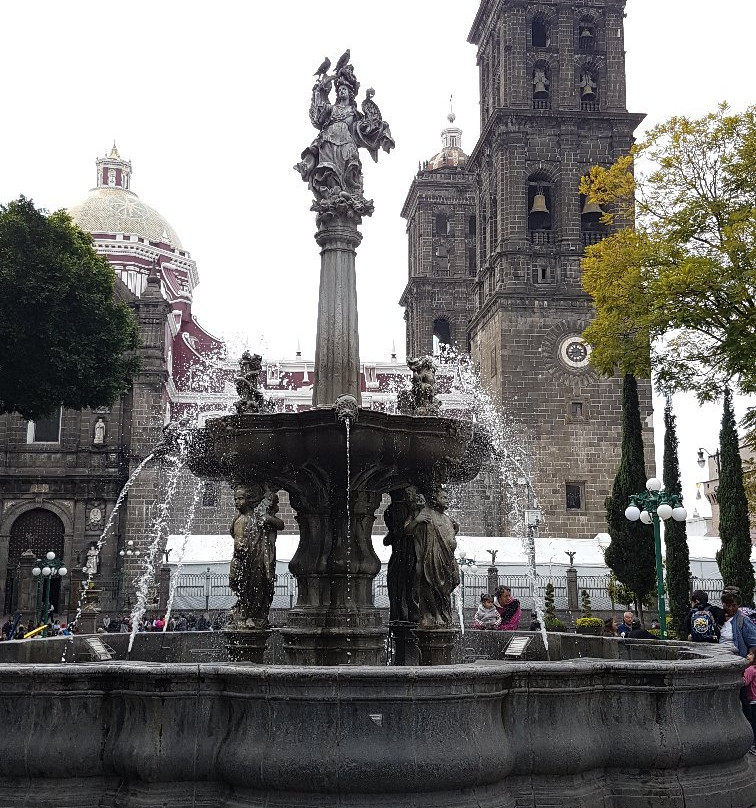 Zócalo de Puebla景点图片
