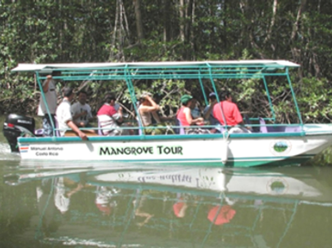 Mangrove Boat Tour景点图片