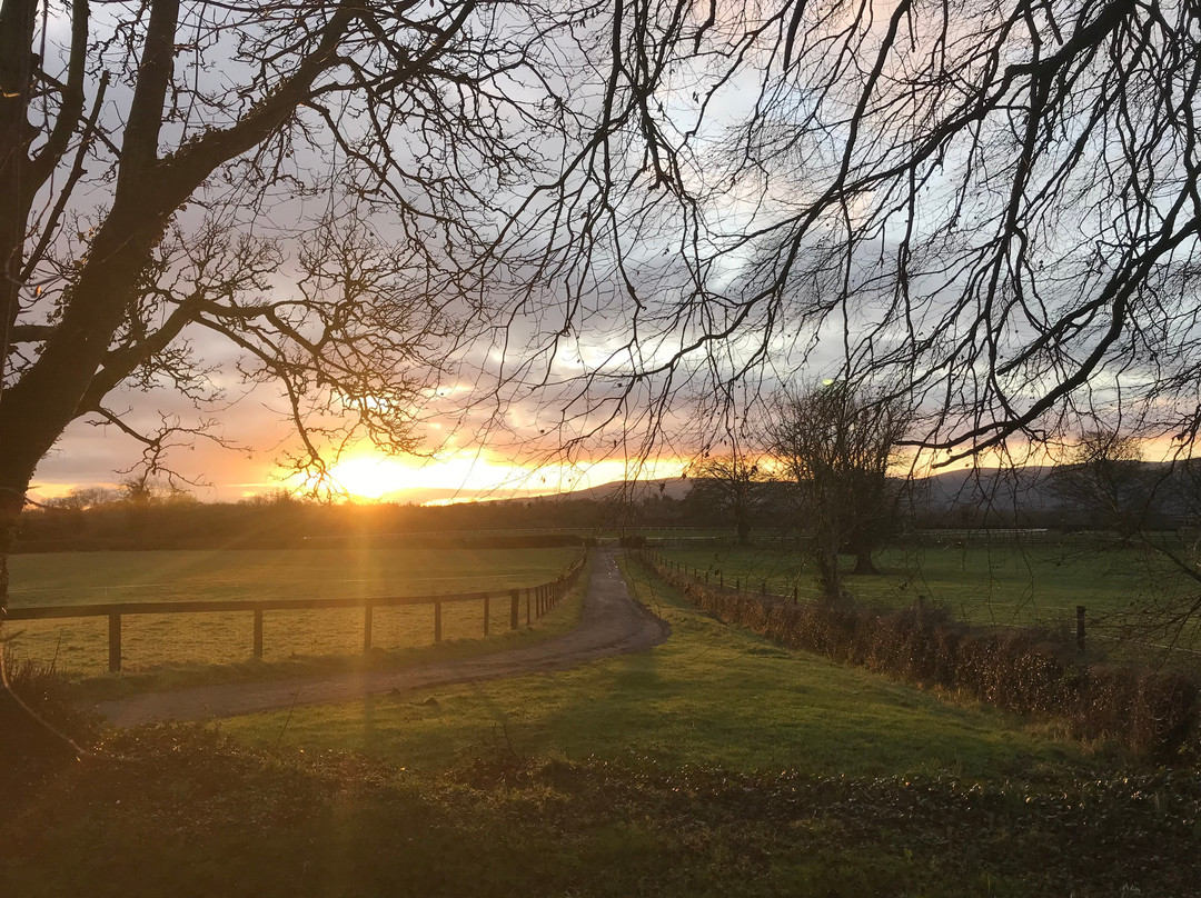 Bansha旅游攻略图片