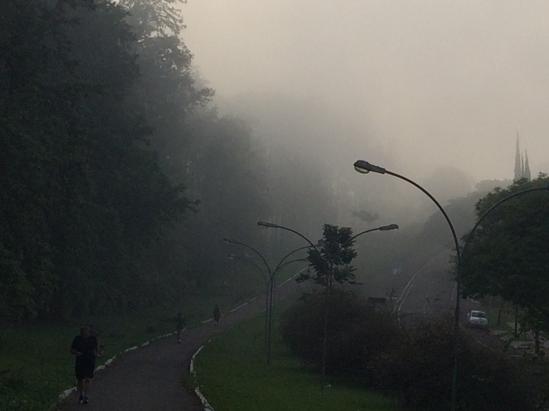 Bosque das Grevileas-Maringa必去景点