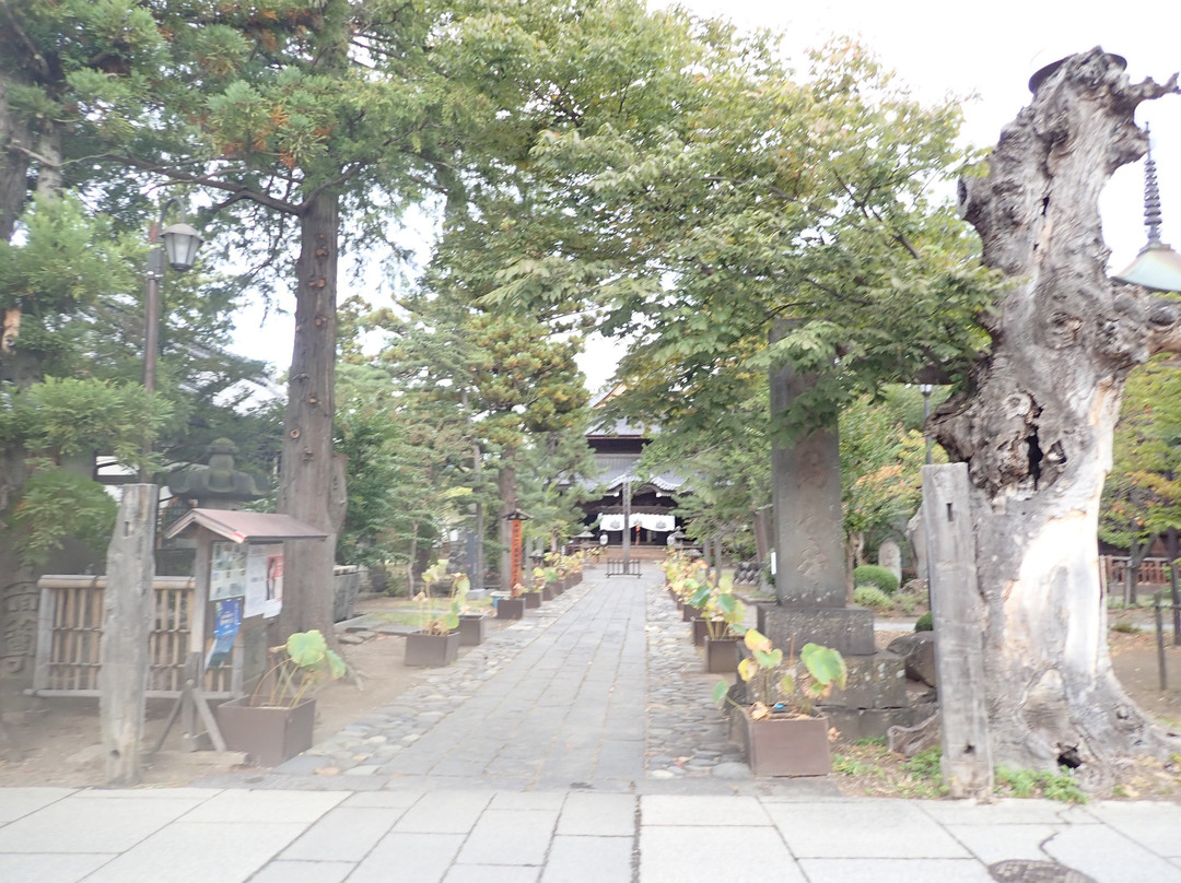 Shinano Kokubunji Temple景点图片